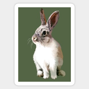 Wabbit Sticker